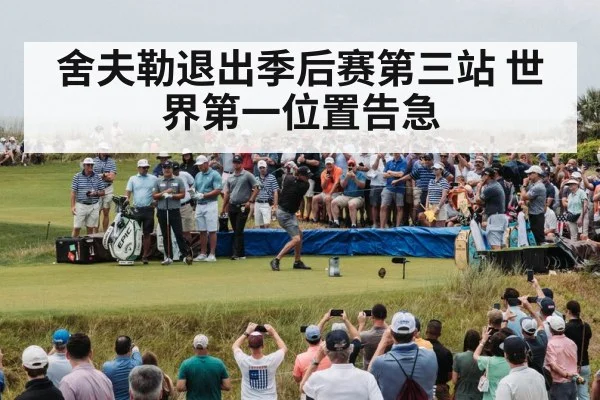 舍夫勒退出季后赛第三站 世界第一位置告急