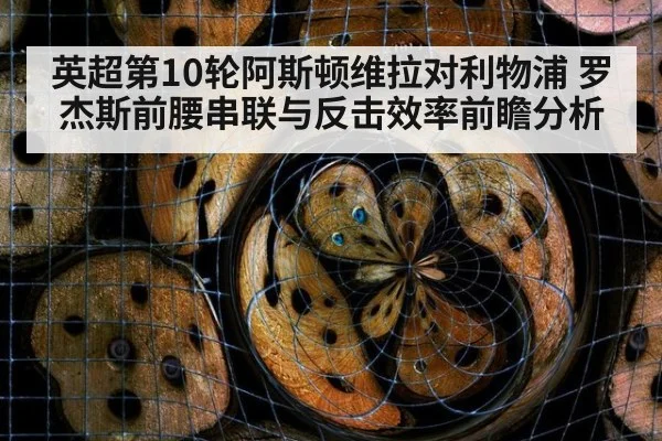 英超第10轮阿斯顿维拉对利物浦 罗杰斯前腰串联与反击效率前瞻分析